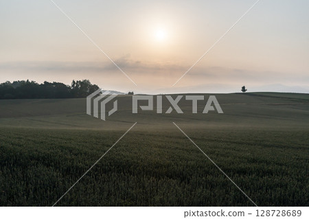 Spring countryside scenery Spring countryside scenery 128728689