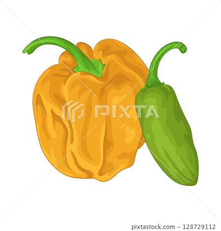 Illustration of Green Chili Pepper and Habanero Pepper Illustration of Green Chili Pepper and Habanero Pepper 128729112