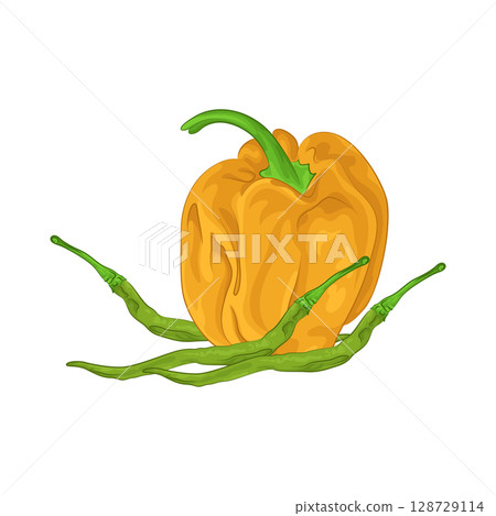 Illustration of Green Chili Pepper and Habanero Pepper Illustration of Green Chili Pepper and Habanero Pepper 128729114