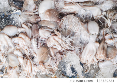 background with octopus catch. Fresh chilled octopuses in ice at seafood market close-up background with octopus catch. Fresh chilled octopuses in ice at seafood market close-up 128729283