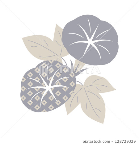 Morning glory illustration (two flowers, soft gray, Japanese accent) Morning glory illustration (two flowers, soft gray, Japanese accent) 128729329