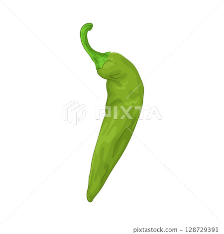 Illustration of Green Chili Pepper 128729391