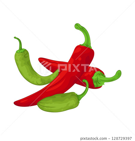 Illustration of Chili Pepper 128729397