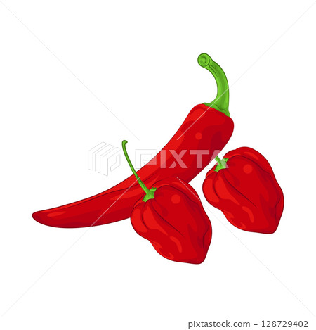 Illustration of Red Chili Pepper  128729402