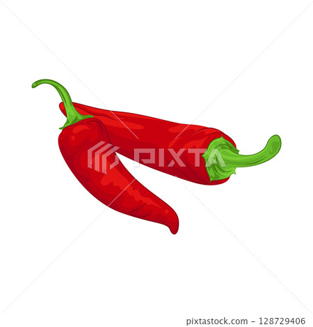 Illustration of Red Chili Pepper Illustration of Red Chili Pepper 128729406