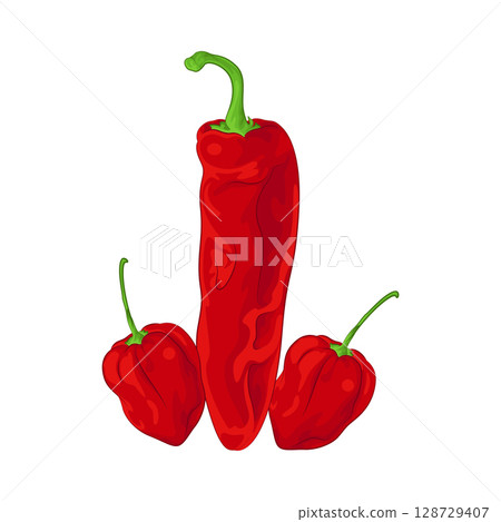 Illustration of Red Chili Pepper Illustration of Red Chili Pepper 128729407