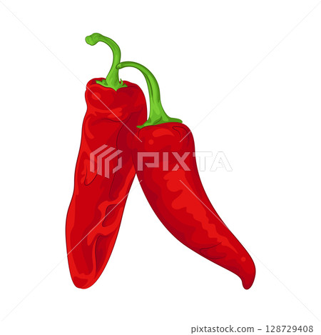 Illustration of Red Chili Pepper  128729408
