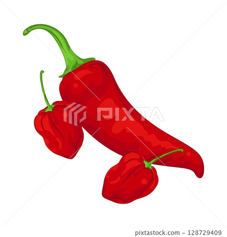 Illustration of Red Chili Pepper  128729409