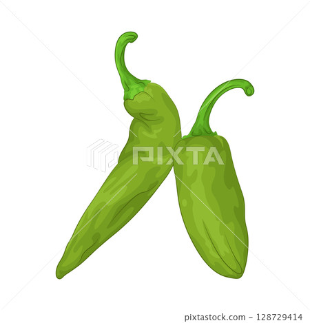Illustration of Green Chili Pepper Illustration of Green Chili Pepper 128729414