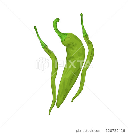 Illustration of Green Chili Pepper Illustration of Green Chili Pepper 128729416