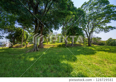 古室山古墳(大阪府藤井寺市) 古室山古墳(大阪府藤井寺市) 128729581
