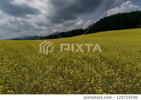 Miku的山 Miku的山 128729586