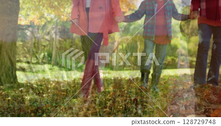 Walking family of four holding hands over grass with fallen leaves at park, with tree trunks 128729748