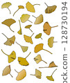 銀杏葉枯黃落葉 128730194