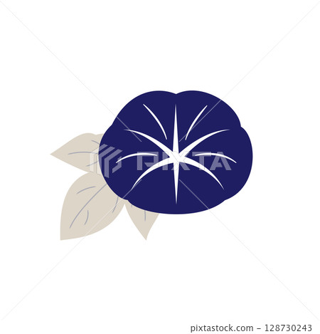 Elegant morning glory illustration (dark blue, 1 flower) Elegant morning glory illustration (dark blue, 1 flower) 128730243
