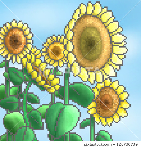 Sunflower field and blue sky Sunflower field and blue sky 128730739