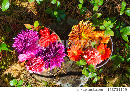 Kamakura Ichijo Ekan Sanso Beautiful Flower Water Basin (Kamakura City, Kanagawa Prefecture) 128731129