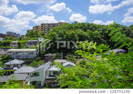 Takarazuka distant view 128731230