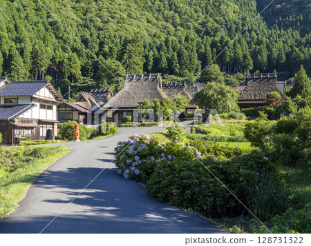 美山茅吹村夏天盛開的繡球花 128731322