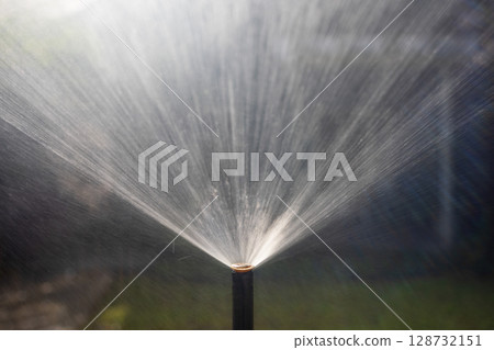 Fixed spray head sprinkler watering in backyard. Fixed spray head sprinkler watering in backyard. 128732151