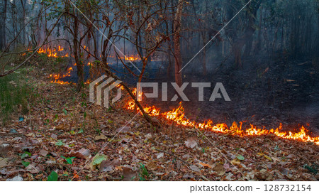Wildfires release carbon dioxide (CO2) emissions and other greenhouse gases (GHG) that contribute to climate change. 128732154