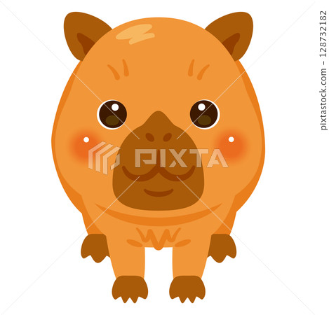 Illustration of a capybara seen from the front Illustration of a capybara seen from the front 128732182