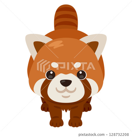 從正面看小熊貓的插圖 從正面看小熊貓的插圖 128732208