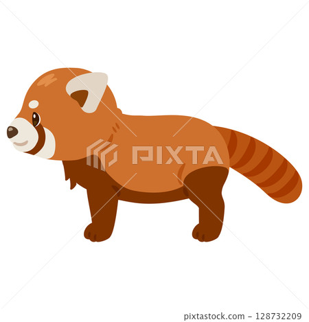紅熊貓的側面插圖 128732209