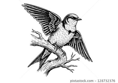 Detailed vector illustration of a swallow perched on a branch, capturing its delicate beauty. Bird. 128732376