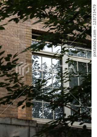 Leaves reflected in the window Leaves reflected in the window 128733479
