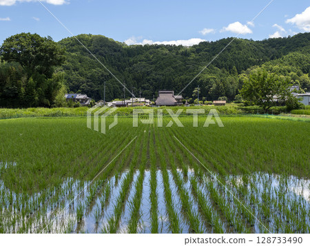 京都府南丹市的鄉村風景 128733490