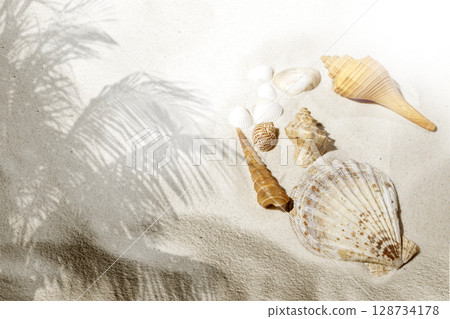 Seashells on a beautiful sandy beach with the shadow of a palm tree. Natural background. Summer concept. Top view 128734178