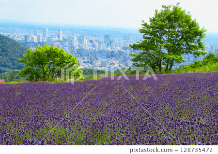 北海道札幌市Horomi Rin薰衣草 128735472