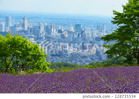 北海道札幌市Horomi Rin薰衣草 128735534