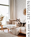 Husky dog lying on the sofa in a natural living room 128735976