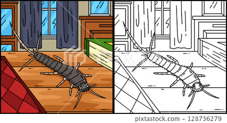Insect Silverfish Animal Colored Illustration  128736279