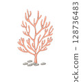 pink coral cartoon drawing with decorations in flat cute hand drawn style 128736483