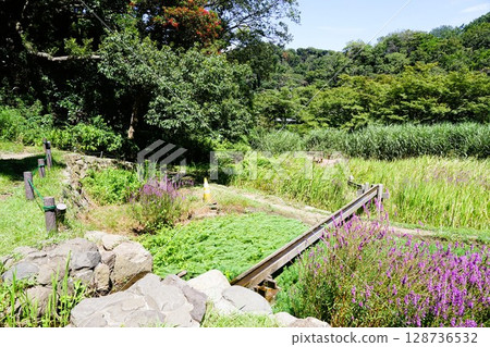 倉木公園 倉木公園 128736532