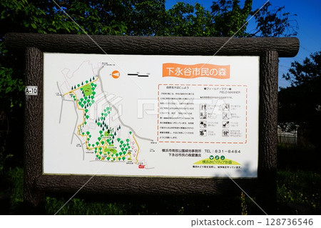 Shimonagatani Civic Forest Shimonagatani Civic Forest 128736546