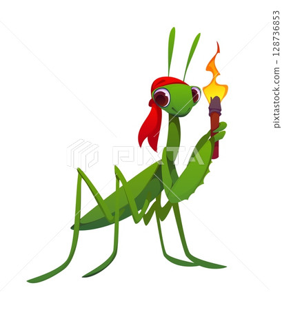 Cartoon praying mantis animal character dressed as a pirate wearing red bandana and holding a lit torch. Isolated vector fantasy game or book insect swashbuckler personage ready for nautical adventure 128736853