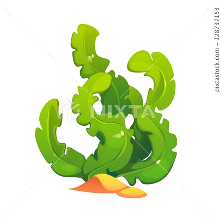 Underwater cartoon seaweed or sea algae and kelp alga of coral reef, cartoon vector. Ocean water plant or marine grass, aquatic weed spirulina and laminaria with green leaf for aquarium seaweed algae 128737153
