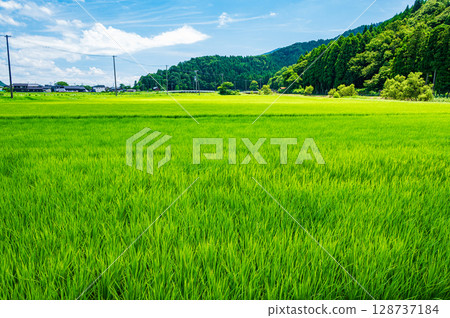 A peaceful rural landscape in the Oku-Biwako region, Oura, Nishiasai-cho, Nagahama City, Shiga Prefecture 128737184