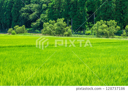 A peaceful rural landscape in the Oku-Biwako region, Oura, Nishiasai-cho, Nagahama City, Shiga Prefecture 128737186