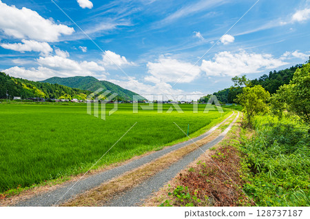 滋賀郡長濱市西夏西町大浦奧琵琶湖地區寧靜的田園風光 128737187
