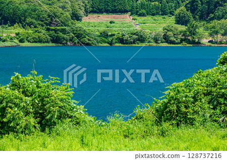 Scenery of Lake Biwa in the depths of the lake Sugaura, Nishiasai-cho, Nagahama City, Shiga Prefecture Scenery of Lake Biwa in the depths of the lake Sugaura, Nishiasai-cho, Nagahama City, Shiga Prefecture 128737216