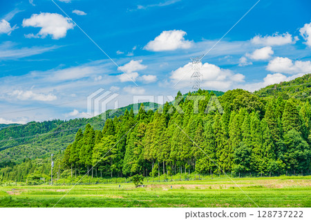 Mountain forest scenery in the Oku-Biwako region, Nishiasai-cho, Nagahama City, Shiga Prefecture 128737222