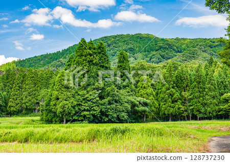 Rural landscape of the mountain forest in the Oku-Biwako region, Nishiasai-cho, Nagahama City, Shiga Prefecture Rural landscape of the mountain forest in the Oku-Biwako region, Nishiasai-cho, Nagahama City, Shiga Prefecture 128737230