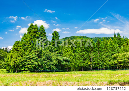 Mountain forest scenery in the Oku-Biwako region, Nishiasai-cho, Nagahama City, Shiga Prefecture 128737232