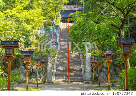 夏季兵庫－庵府神社 128737347