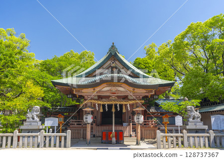 Summer in Osaka: Hattori Sumiyoshi Shrine, worship hall 128737367